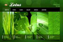 运用色轮原理优化北京网站建设中的网页设计